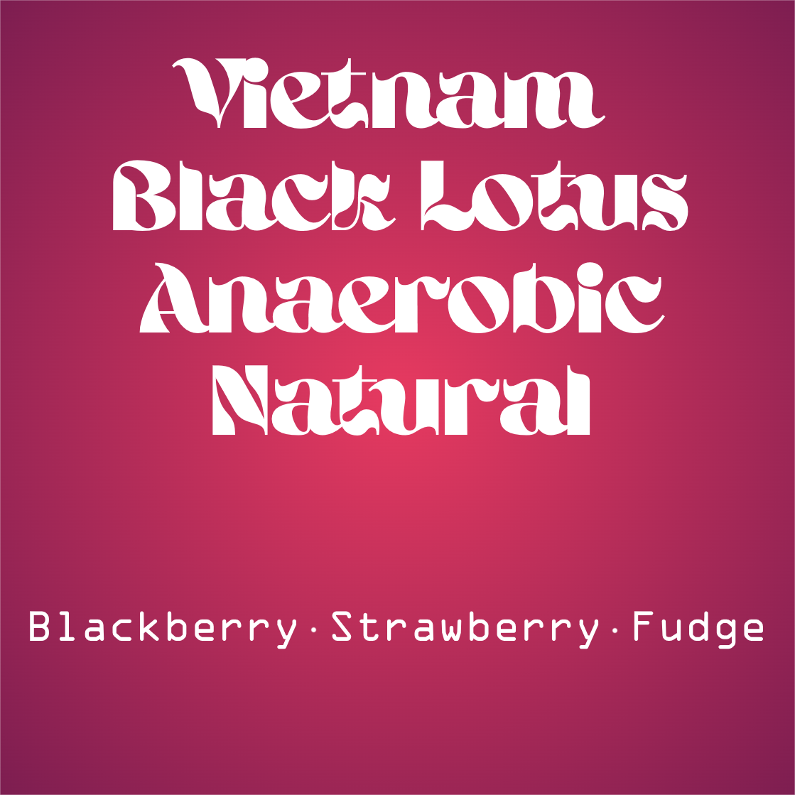 Vietnam Anaerobic Natural
